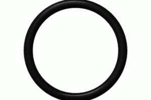 Air Pump Piston O-ring